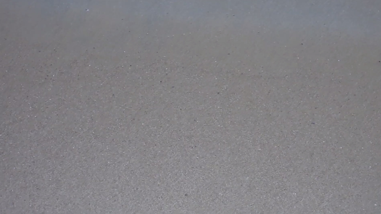 fieldrecording videomix 001